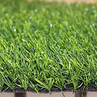 Artificial Grass Turf