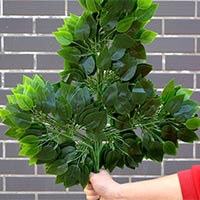 artificial leaves Artificial Leaf